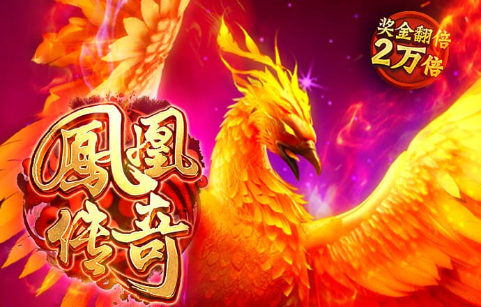 ng28棋牌